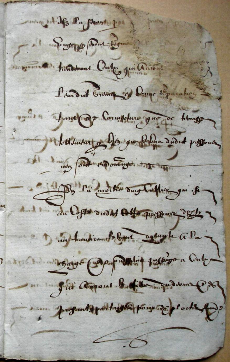 Ceville-Mathurin-partages_1603 (15).JPG